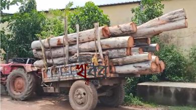 ট্রাক্টর ভর্তি কাঠ পাচার রুখলো দুবরাজপুর থানার পুলিশ