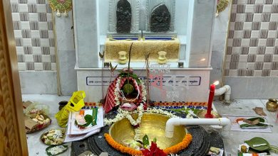 সুরথেশ্বর শিব মন্দিরের গর্ভগৃহ খনন করতে গিয়ে মিলল প্রায় দেড় হাজার বছর পুরনো উমা-মহেশ্বর শিলামূর্তি।