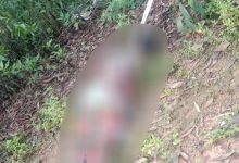 শান্তিনিকেতনের সোনাঝুরিতে অজ্ঞাতপরিচয় মহিলার মৃতদেহ উদ্ধারে চাঞ্চল্য