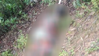 শান্তিনিকেতনের সোনাঝুরিতে অজ্ঞাতপরিচয় মহিলার মৃতদেহ উদ্ধারে চাঞ্চল্য