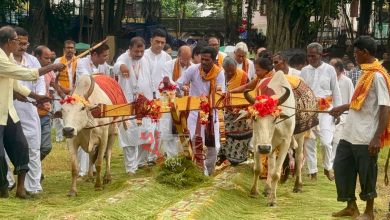 ১৯২৮-এ কবিগুরুর হাত ধরে শুরু, আজও শ্রীনিকেতনে সেই ঐতিহ্যবাহী হালচালনা হলকর্ষণ উৎসব।