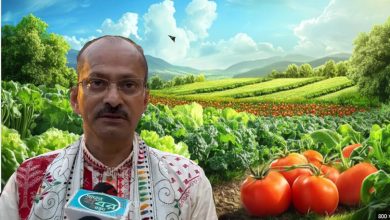 পতিত জমিতে হবে অর্গানিক ফার্মিং, চলছে মাঠ খোঁড়ার কাজ
