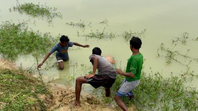 একদিন নিখোঁজ থাকার পর দিঘি থেকে মৃতদেহ উদ্ধার