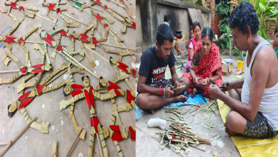 তালপাতার সেপাই নিছকই একটি খেলনা, তা নয়। এ এক ঐতিহ্যবাহী শিল্প