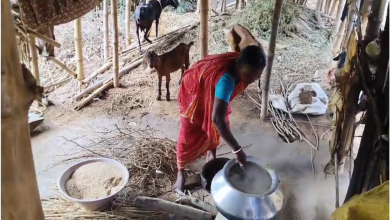 বন্যার জলে অচল শীতলগ্রামের অঙ্গনওয়াড়ি কেন্দ্র